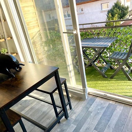 Appartamento Le Rustique Vosgien Saint-Die-des-Vosges Esterno foto