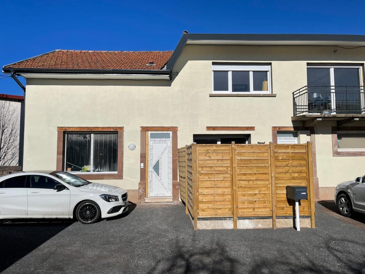 Appartamento Le Rustique Vosgien Saint-Die-des-Vosges Esterno foto